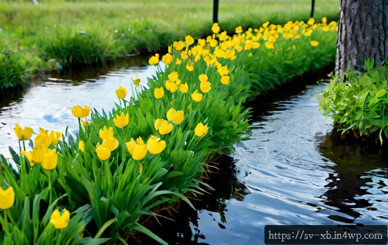 Bygg emotionell smidighet: självdrivna vanor för pressade arbetsdagar 4 정서적 민첩성을 높이기 위한 스스로의 동기 부여 관련 이미지 2